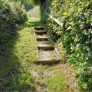 Well maintained village footpaths