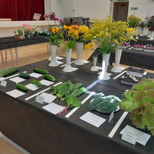 Kingswood Walton & Tadworth Horticultural Society Shows