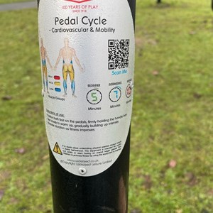 Pedal Cycle user information and workout recommendations