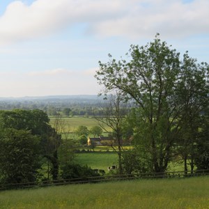 View from back of Church