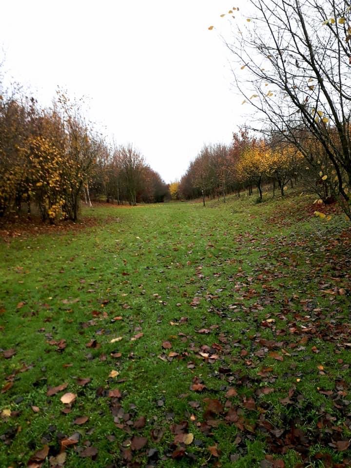 Detling Parish Council Conservation Area