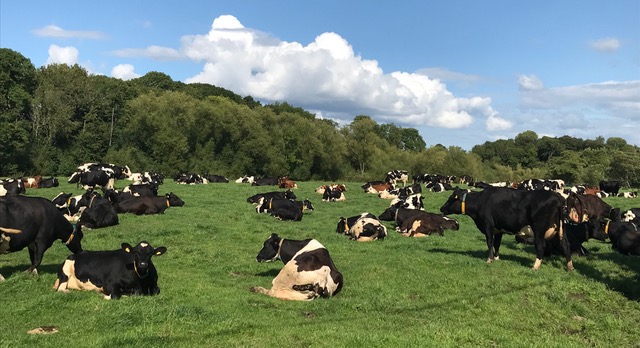 Picture of the Week - Everyone feels so much better with a bit of sun on their backs. (Anne Higgins) Picture of the Week - Everyone feels so much better with a bit of sun on their backs. (Anne Higgins)