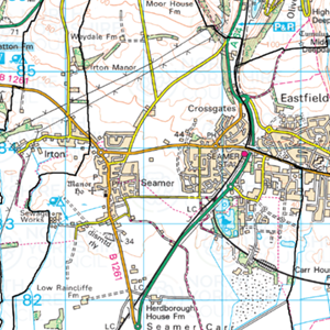 Seamer Parish Council area and boundary | © Crown Copyright and Database Rights [2021] Ordnance Survey 100017946