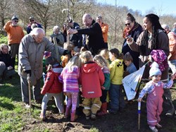 Tree planting