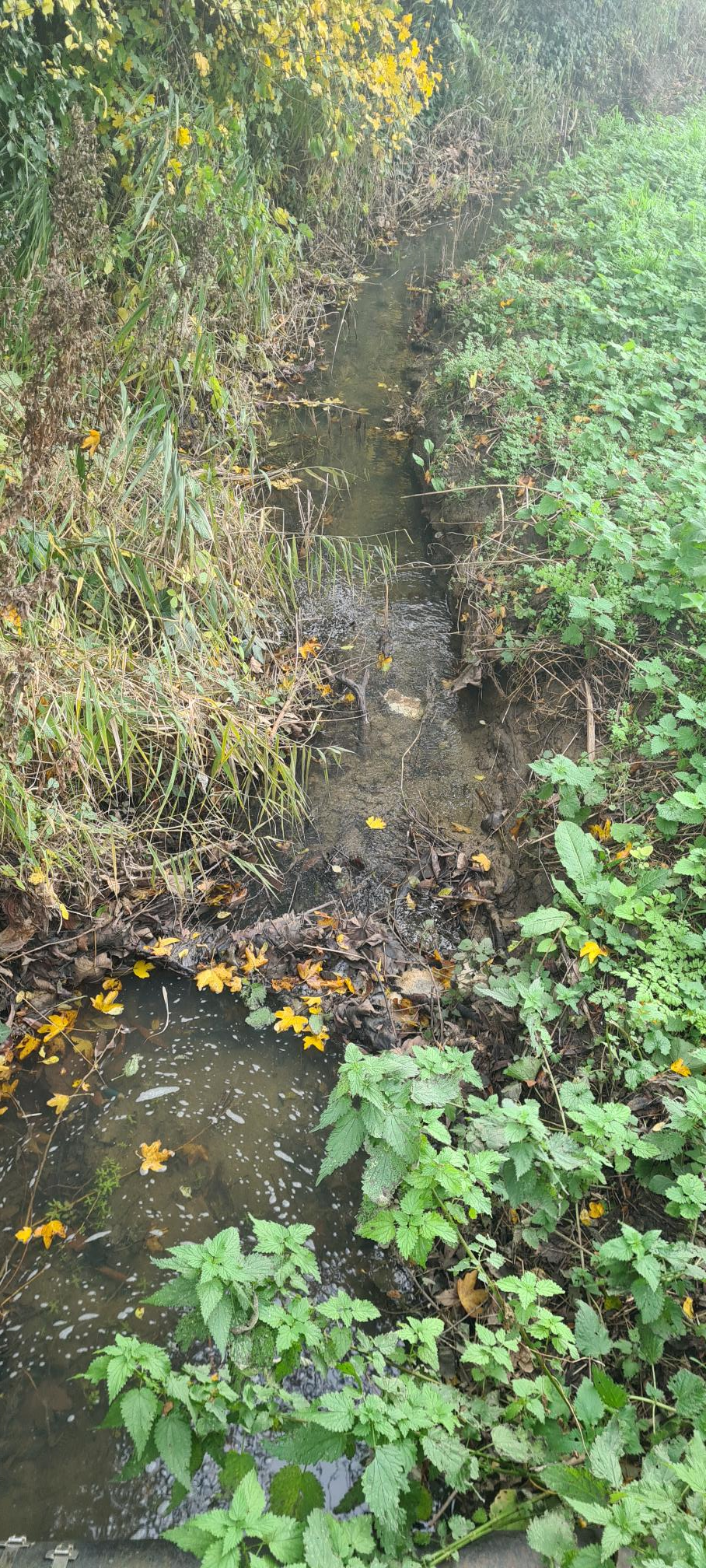 River Wain River Wain