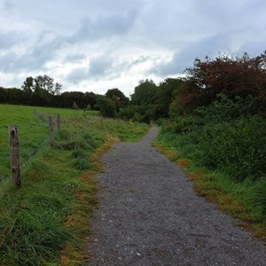 Toller Porcorum Parish Council Home