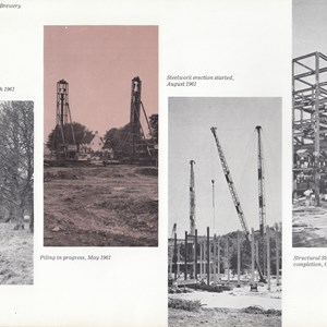 Memories of Alton, Hampshire The Harp Lager Brewery c1963 Memories of Alton, Hampshire The Harp Lager Brewery c1963