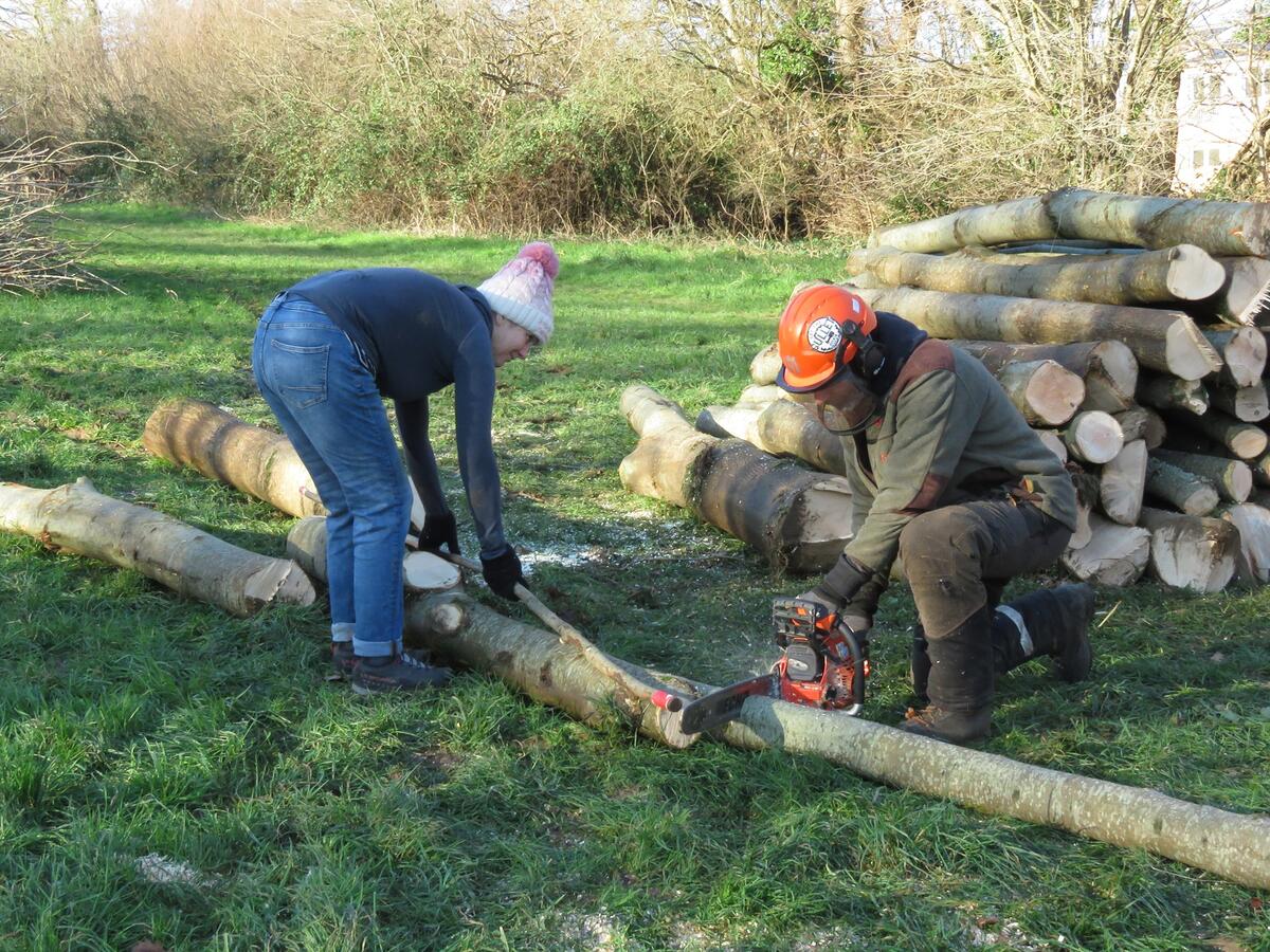 Cutting the timber and stacking.