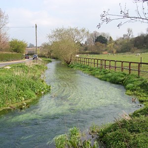 The Swift at Ibthorpe
