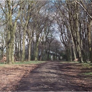 Carriage drive to Anderton Hall