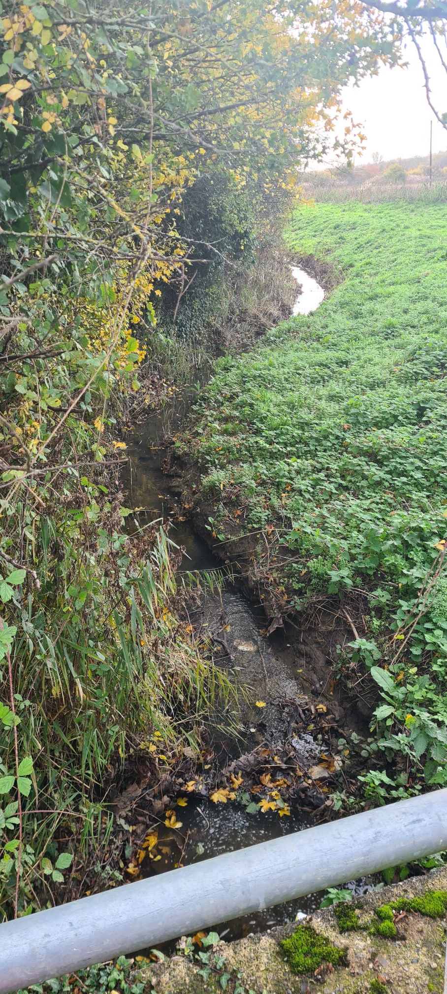 Frindsbury Extra Parish Council River Wain Chalk Stream Frindsbury Extra Parish Council River Wain Chalk Stream