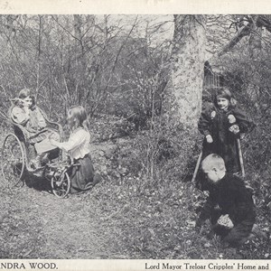 10. Queen Alexandra Wood – Postmarked 27th February 1911