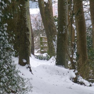 The Allington Hillbillies Snow March 2018