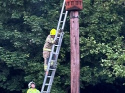 Marden Parish Council D-Day 6th June 2024
