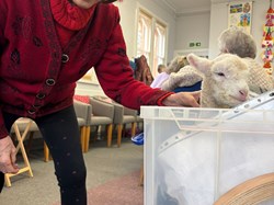 Dementia-friendly Alton Keeping Active