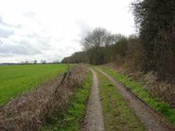 View along bridleway from site of guardroom the airfield to the left & Dodds willows to the right