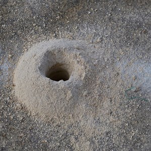 Drainage hole