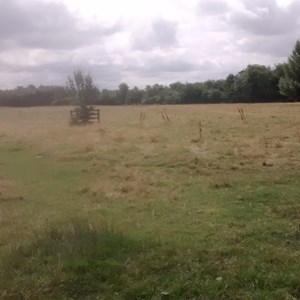 Myles Meadow, Lt Downham