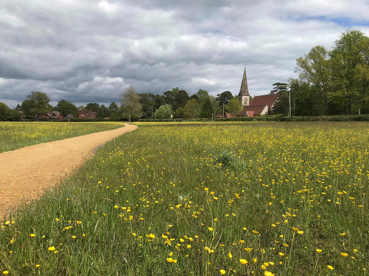 Parish Field, Woolton Hill