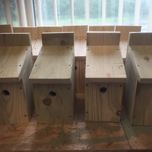 Bird Nesting Boxes £15 each