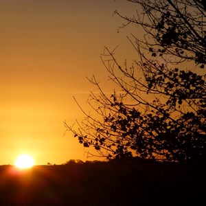 The Allington Hillbillies Sunset and Sunrise