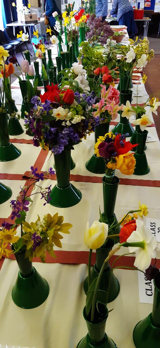 Glorious colour at Spring Show 2024