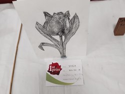 Sutton Valence Gardeners Association The Annual Shows