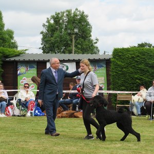 Whixall Social Centre Whixall Companion Dog Show 2022 Report