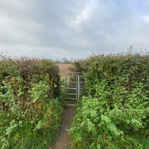 Sambourne Parish Council Footpath, Improved Access