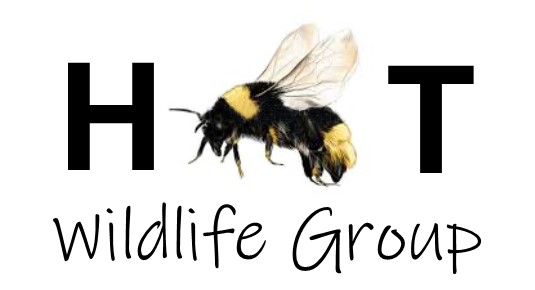 Hurstbourne Tarrant Parish HBT Wildlife Project Update