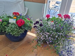 Bucklebury and Marlston Horticultural Society Summer Show 2026