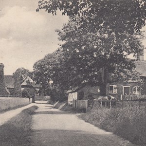 Shalden lane looking towards Southwood Road, Manor Farm is on the left - Postmarked 4.1.1922