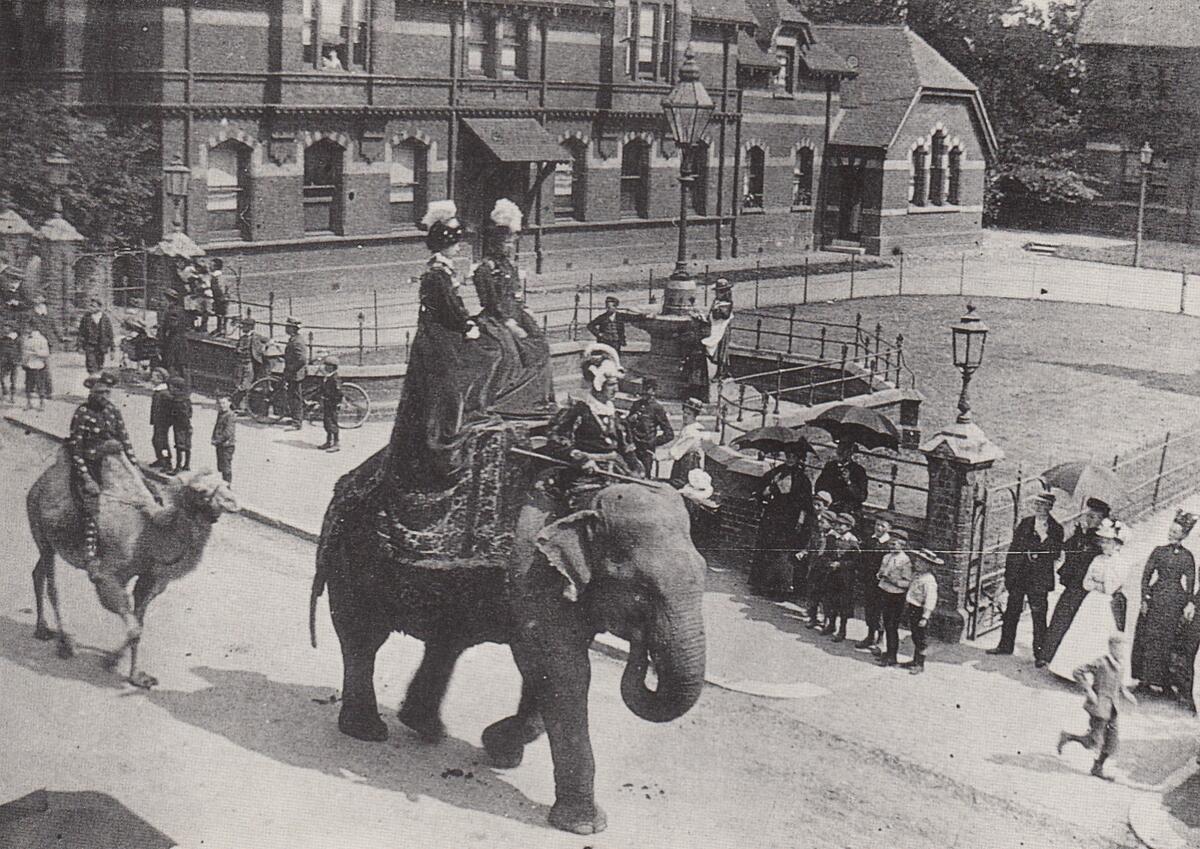 Circus procession passing Crown Close, 1899