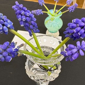 Mannings Heath & District Horticultural Society Photo Gallery