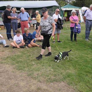 Goodworth Clatford Parish Council  Fete 2026 photos