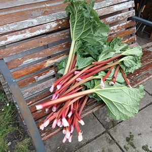 Balderton Parish Council Glebe Park Allotments