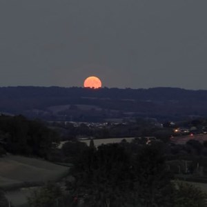 the moon - Phil Taylor