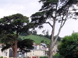 Dartmouth Bowling Club Home