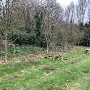 Asenby Parish Council The Community Park