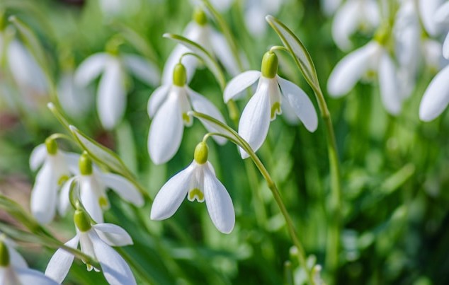 BISHOP MONKTON TODAY Home