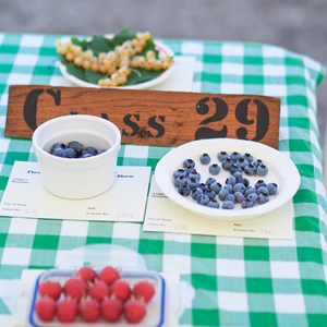 HBT Horticultural Society Photographs 2025