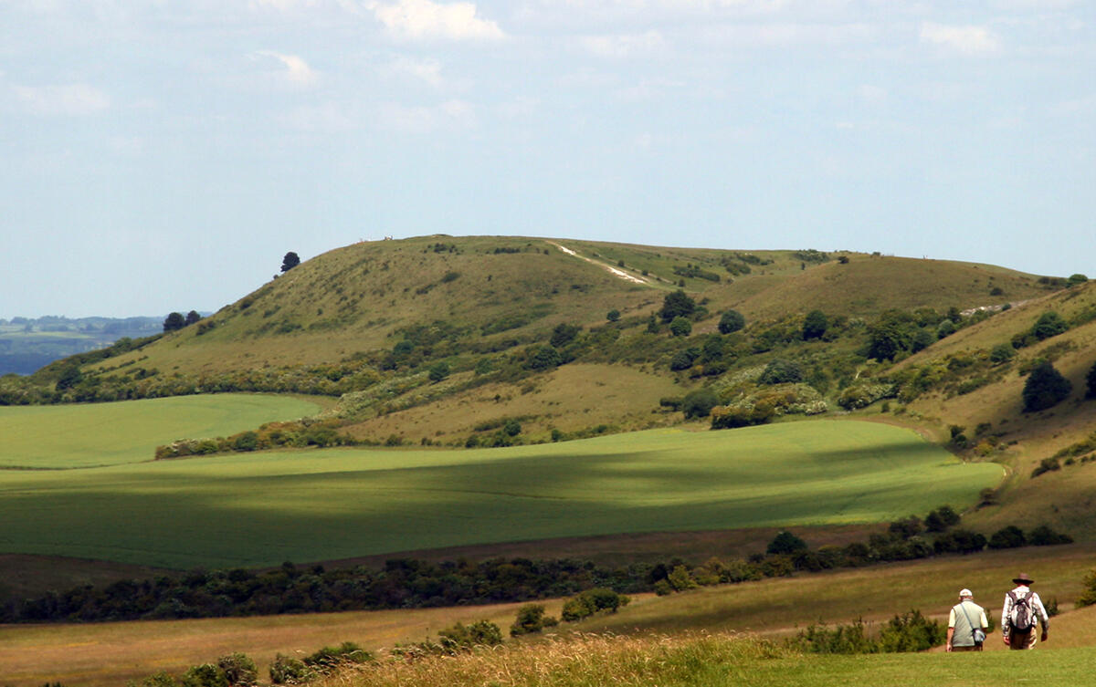 Ivinghoe Beacon seen from The Ridgeway