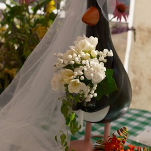 HBT Horticultural Society Photographs 2026