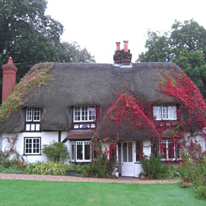 A beautiful historic cottage