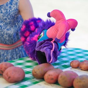 HBT Horticultural Society Photographs 2025