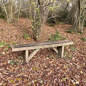 A Lovers bench in the woods at The Vyne. ©RW