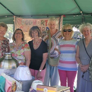 Goodworth Clatford Parish Council  Flower Show  2025 photographs.