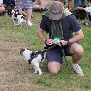 Goodworth Clatford Parish Council  Fete 2026 photos