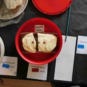 Goodworth Clatford Parish Council  Fete 2026 photos