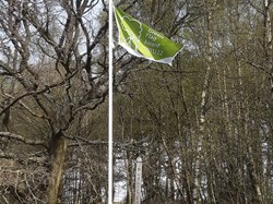 Cannock Wood Parish Council Castle Ring